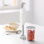 Breville Wizz Stick BSB300