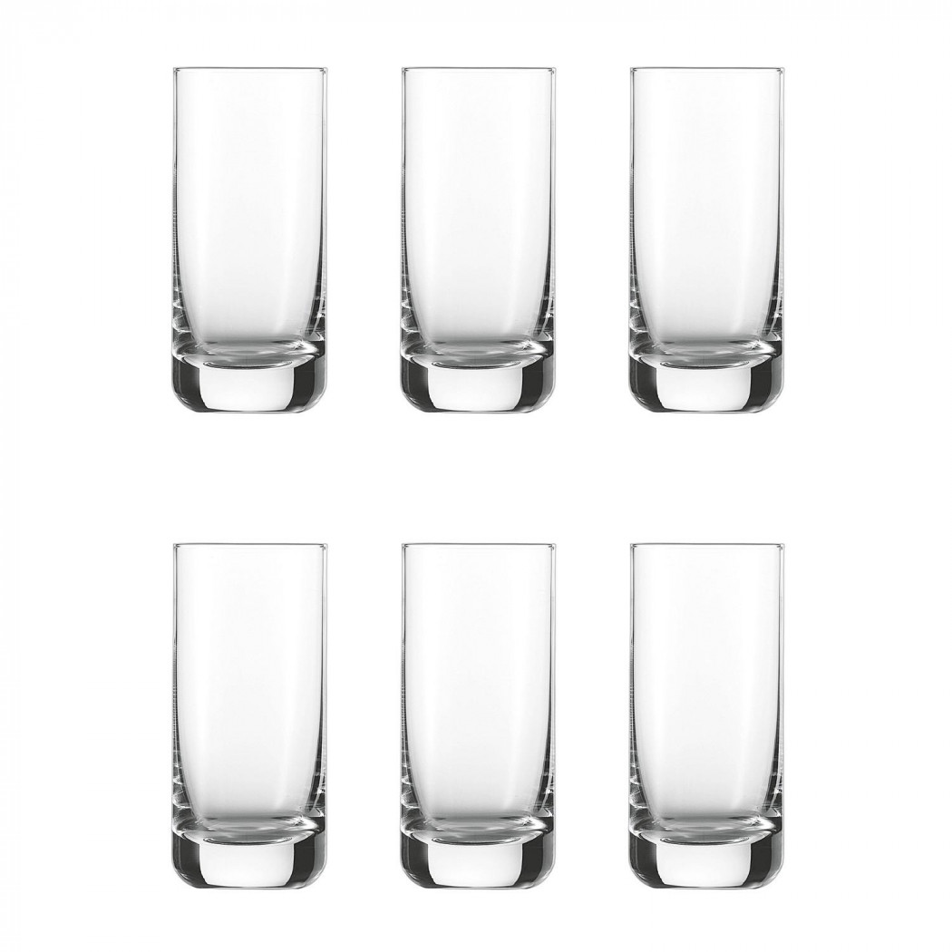 Schott Zwiesel Convention Beer Tumblers (Set of 6)