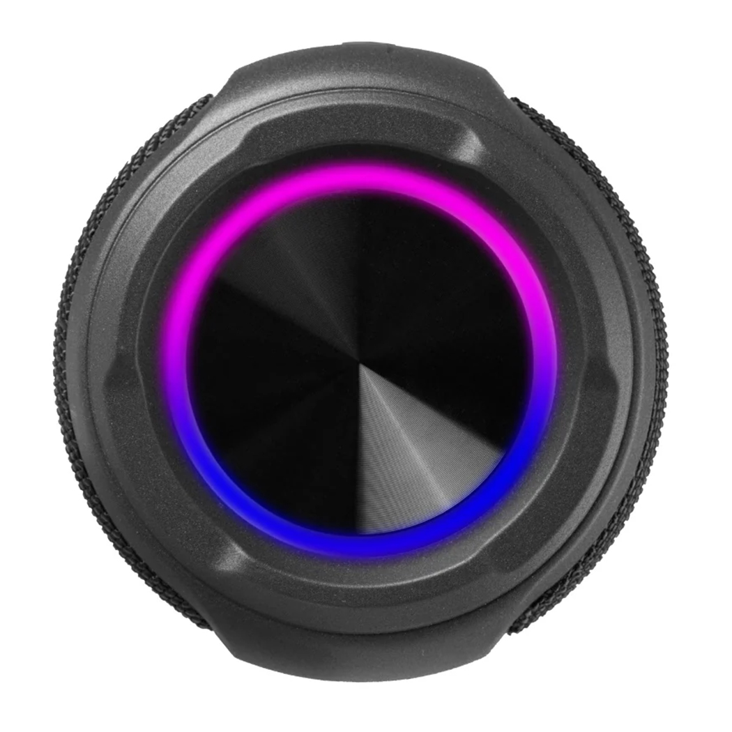 Wave Portable Speaker Amped Series (Small)
