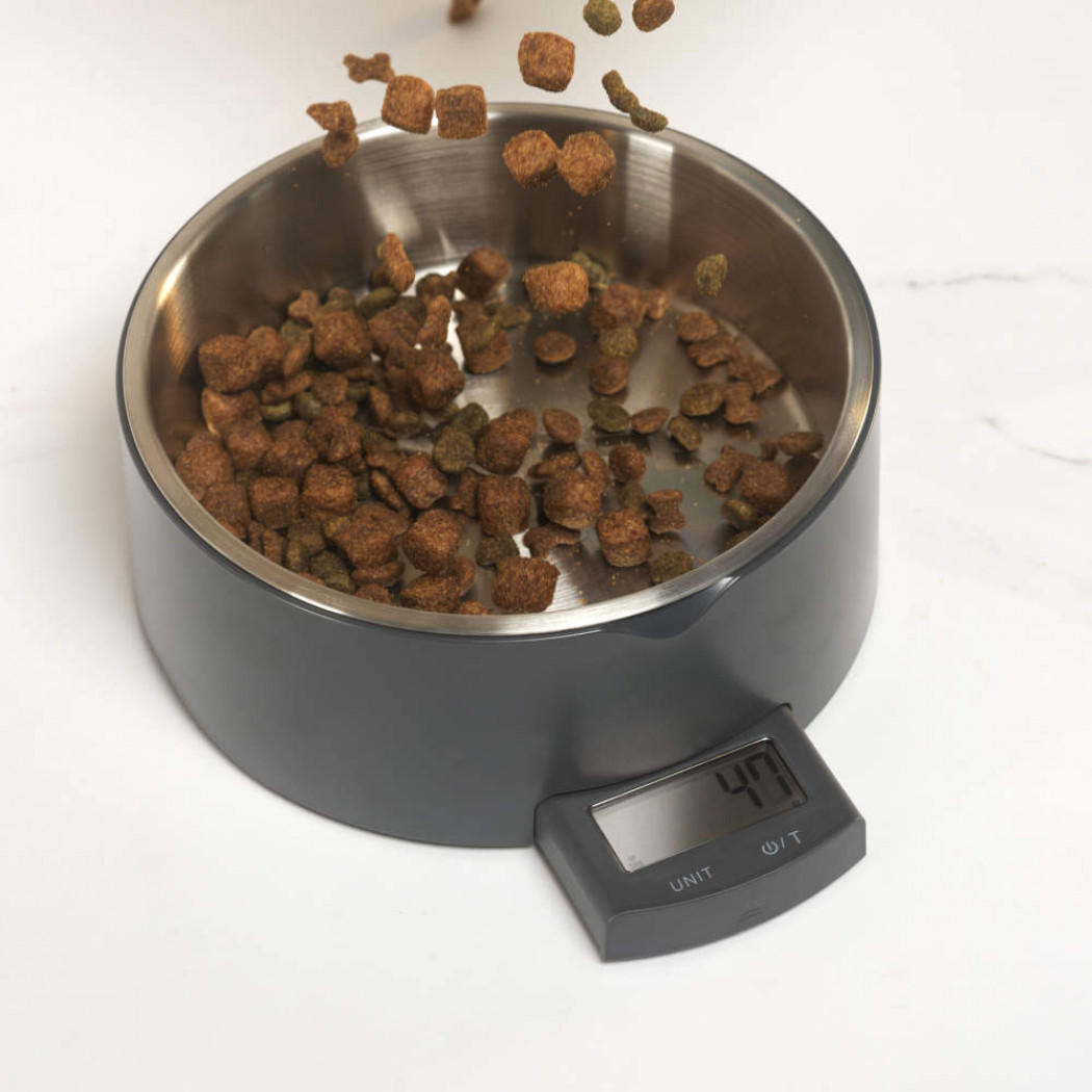 Salter Pet Food / Dog Bowl Scale